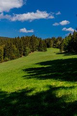 Wall Mural - Wandern an verschiedenen Orten durch den Thüringer Wald - Thüringer Wald / Deutschland