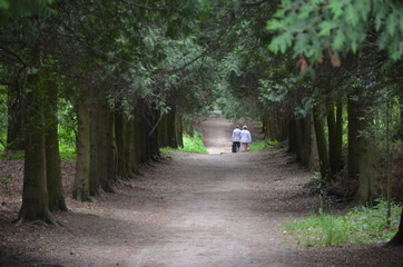 walking in the woods