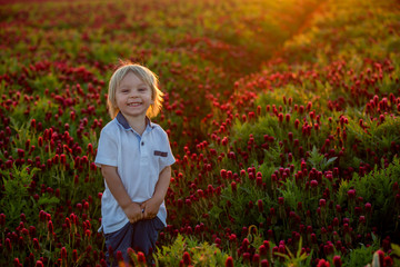 Wall Mural - Beautiful children, brothers in gorgeous crimson clover field on sunset,