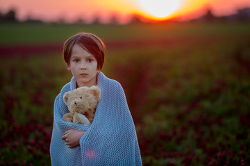 Canvas Print - Beautiful children, brothers in gorgeous crimson clover field on sunset,