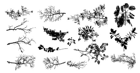 a set of tree sprigs. vector illustration