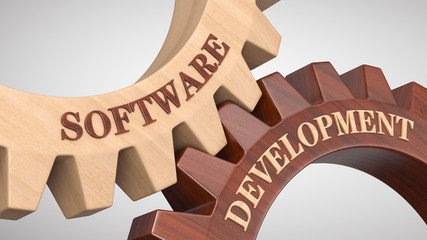 Software development concept