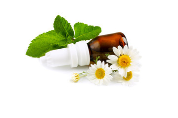 Chamomile with mint leaves and oil on isolated white background