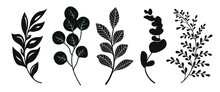 Set  Of Leaves Silhouette Of Beautiful Plants, Leaves, Plant Design. Vector Illustration .	