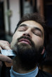 © DaliCeMedia - Handsome man trimming beard at barbershop