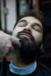 © DaliCeMedia - Handsome man trimming beard at barbershop