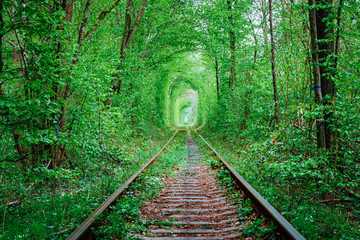 Poster - a railway in the spring forest. Tunnel of Love, green trees and the railroad