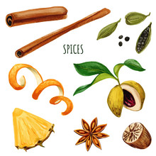Set Of Spices Including Anis Star And Cinnamon