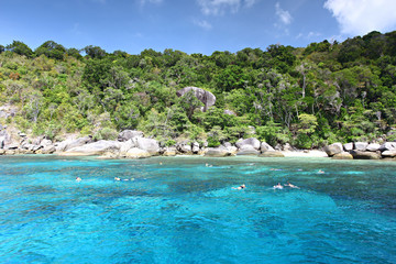  Tourists floating on the crystal-clear waters. Enjoy the beauty of the sea at Similan sea 