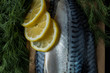 Fish products, commercial fish mackerel. Raw mackerel fillet with skin on a wooden board and on craft paper surrounded by green onions, dill and lemon slices. On a dark wooden background.