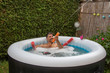 © Michael Eichhammer - Mann im Garten Whirlpool