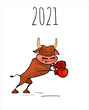 Ox ,bull  in boxing glovessymbol of the 2021 new year, ox, bull sports and fitness fun cartoon vector illustration for a postcard or calendar.