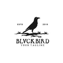 Black Bird Logo Design Vector Illustration Template Idea
