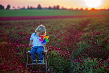 Canvas Print - Beautiful children, brothers in gorgeous crimson clover field on sunset,