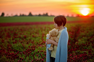 Canvas Print - Beautiful children, brothers in gorgeous crimson clover field on sunset,