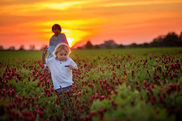 Wall Mural - Beautiful children, brothers in gorgeous crimson clover field on sunset,