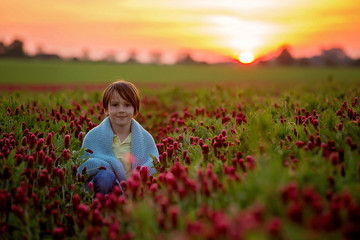 Canvas Print - Beautiful children, brothers in gorgeous crimson clover field on sunset,