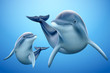 Charming dolphin family