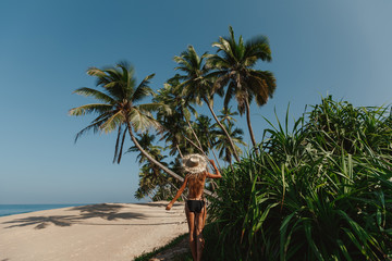 Wall Mural - Back view young woman walking under the palm trees. Woman enjoying beach relaxing in summer  tropical county. Green tropical trees and palms background.