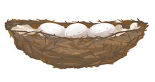 One Brown Bird Nest With Three Eggs In Side View From Small Branches Isolated, Small Nest Of Thin Branches And Feathers
