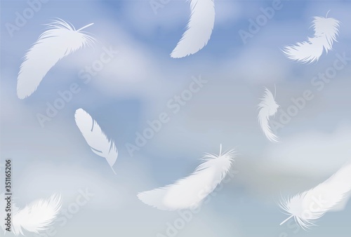 舞い散る羽と空の背景イラスト Stock Vector Adobe Stock 舞い散る羽と空の背景イラスト Stock Vector Adobe Stock
