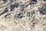 Abstract macro view of a gray white granite rock texture outdoors in sunlight.