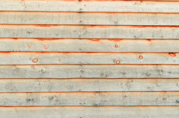 light natural wood texture background surface board with old pattern. rustic vintage timber.