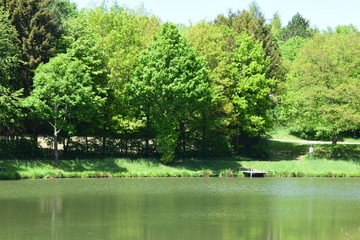 Poster - idyllischer See