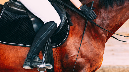 Woman in white riding pants and black riding boots sitting on a brown horse, black gloves on hands, holding riding whip