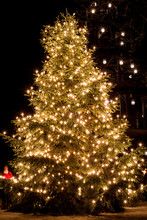 Illuminated Christmas Tree At Night