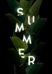 Wall Mural - Dark summer tropical design with banana palm leaves and integrated text with 3d effect. Vector backdrop illustration.