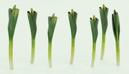 Wall Mural - Realistic 3D Render of Leek Vegetable