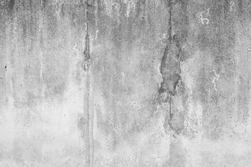 Wall Mural - Texture of Grey concrete wall, background