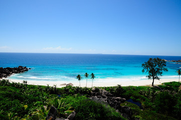 Wall Mural - Idyllic beach with granitic rocks and palms in Anse Cocos, La Digue island, Seychelles