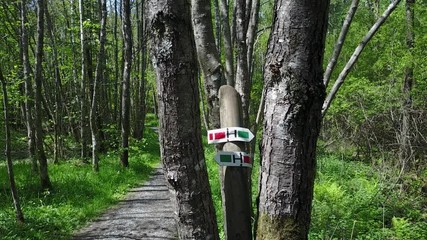 Wall Mural - Belgique Wallonie Ardenne balade sentier promenade balisage