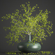 Bouquet Of Branches With Green Berries In A Vase On A Black Background