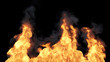 Fire flames burning emitting smoke on black background.