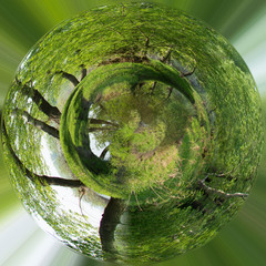 360-degree spherical view beautiful spherical view of the russian forest
