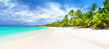 Coconut Palm Trees On White Sandy Beach In Caribbean Sea.