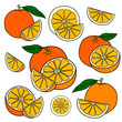 Set of color drawing oranges isolated on white background. Sketch for coloring booking page. Vector illustration