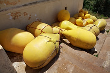 View Of The Yellow Buoys On The Ground In Sunny Day.