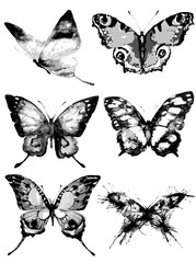 Poster - butterfly627