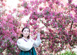© melnikofd - Lovely girl in white green coloured Korean national costume hanbok posing and right into the camera against the backdrop of crowns of blossoming sakura trees.