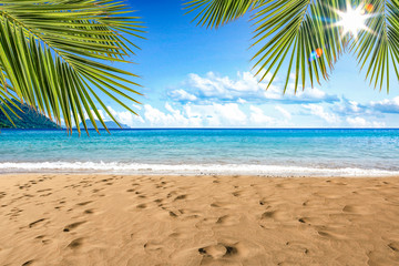 beautiful beach by the clear sea on a beautiful sunny holiday day