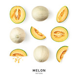 Melon cantaloupe collection and creative pattern