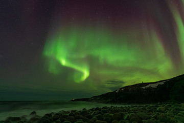aurora borealis, northern lights in the north of norway above snowy hills