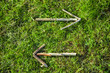 Wooden stick arrow sign at forest green grass path. Scavenger hunt game. Nature way finding concept. Woodlands playground ecology background