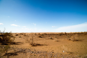 sand dunes in the desert