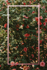 Wall Mural - Frame on a floral background
