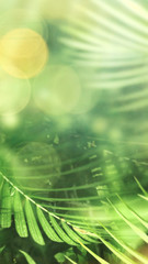 Wall Mural - green forest jungle with palm leaves